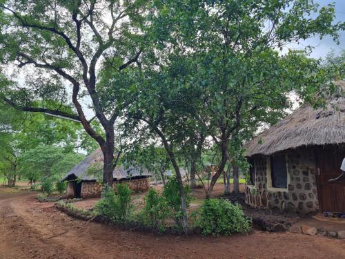 a building with a thatched roof next to trees at Mukuni Villas in Livingstone