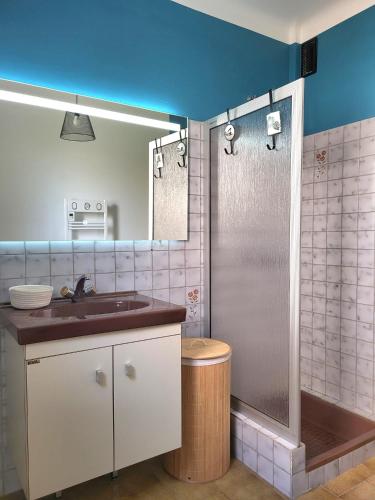 a bathroom with a sink and a shower at Chez Kolianne in Prades