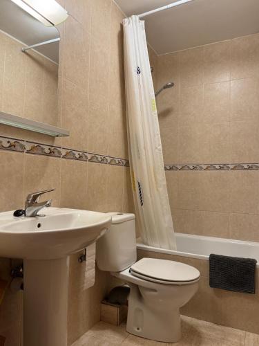 a bathroom with a toilet and a sink and a shower at Apartament al centre històric - Mallerenga in Sant Joan de les Abadesses