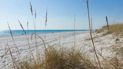 Gallery image of Seas & Greetings! 5BR 4BA House! Elegant Coastal Living Near the Shore in Sunnyside