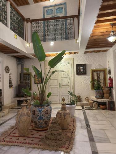 a room with a large vase with a plant in it at RIAD LA SANTA in Chefchaouene