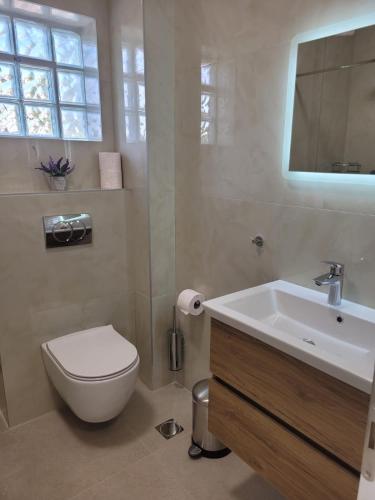 a bathroom with a white toilet and a sink at Boutique Villa Sofia in Limenas