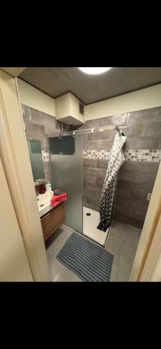 a bathroom with a shower and a sink at Chambre ROOM 1 in Dilbeek