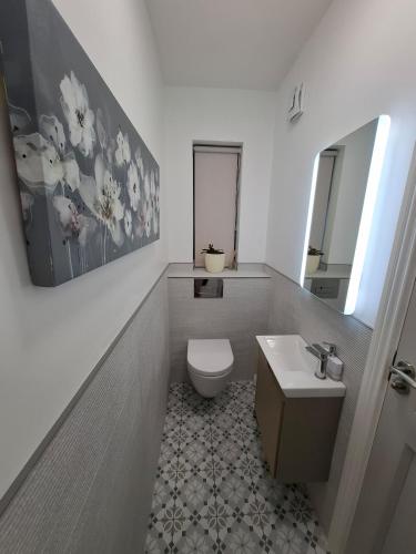 a bathroom with a toilet and a sink at Coaches Corner - Accessible Self-Catering Guest Suite - 5 Minutes from town - Singles or Super-King in Castleblayney