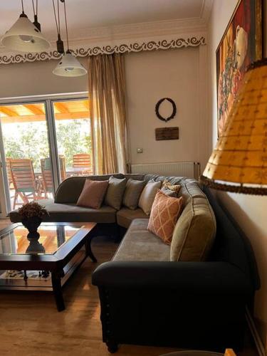 Kosta's elegant house