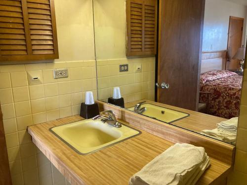 a bathroom counter with a sink and a mirror at Highland Manor Motel in Lombard