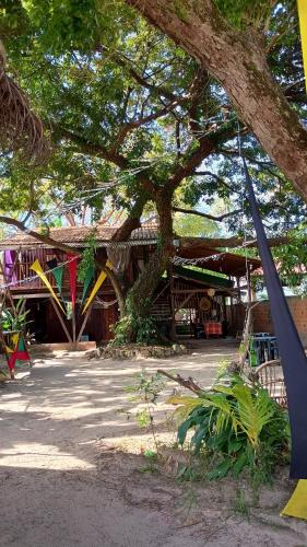 a building with a tree in front of it at Hostel Dona Helô in Maracanã