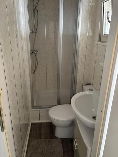 a bathroom with a toilet and a shower and a sink at Chalet Heische tip in Zeeland