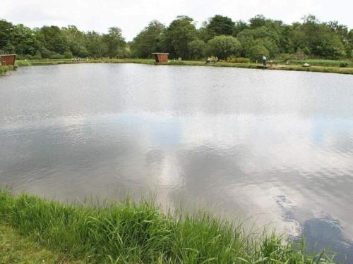 a large body of water with trees in the background at 6 person holiday home in Hovborg-By Traum in Hovborg