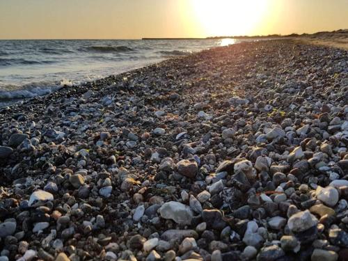 a large group of rocks on a beach at 6 person holiday home in Dannemare-By Traum in Dannemare