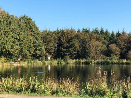 a body of water with trees in the background at Modern Retreat in Arrild - By Traum Ferienwohnungen in Toftlund