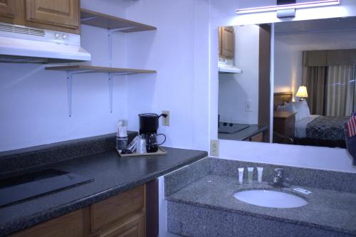 a bathroom counter with a sink and a mirror at Patriot Stay Motel in Vernal