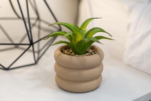 a plant in a pot sitting on a table at St James Court Aparthotel in Derby