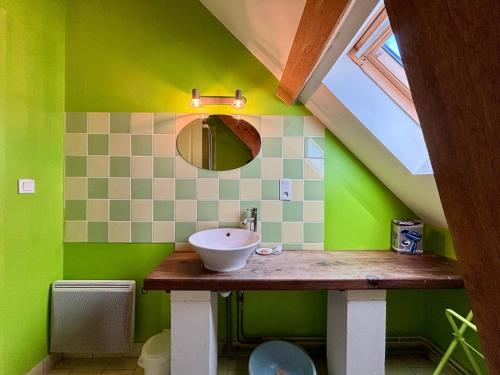 a green bathroom with a sink and a mirror at Gîtes avec piscine partagée dans la Brenne, proche sites historiques - FR-1-591-120 in Rosnay