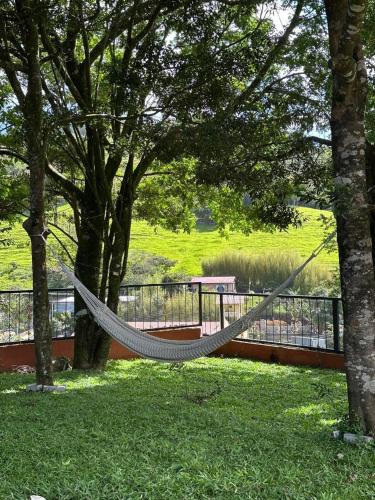 a hammock hanging between two trees in a park at Fergust Family Studio Monteverde in Sierra