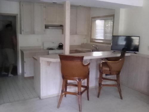 Dapur atau dapur kecil di Quiet Back Garden View Apartment