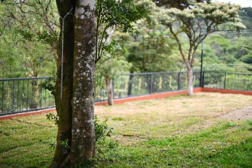 a tree in a park next to a fence at Fergust Family Studio Monteverde in Sierra