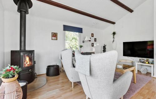 a living room with chairs and a fireplace at Pet Friendly Home In Haderslev With Wifi in Haderslev