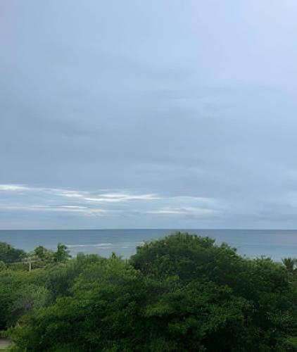 a view of the ocean from a hill with trees at Beachside Heaven Sea View 1bdrm Apartment in Juan Dolio