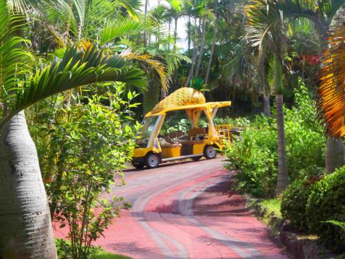 Κήπος έξω από το Tokyu Stay Okinawa Naha