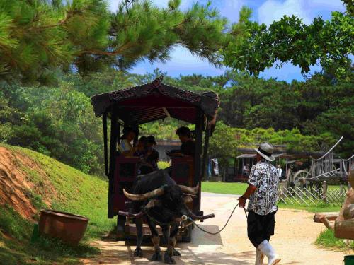 Επισκέπτες που μένουν στο Tokyu Stay Okinawa Naha