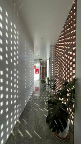 a hallway with a potted plant in a building at Samu Bac Ha Hotel in Lao Cai