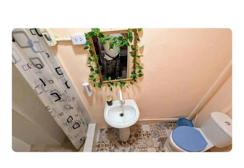 サントドミンゴにあるabajo españolaのトイレと鏡のある小さなバスルーム