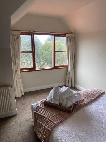 Ένα ή περισσότερα κρεβάτια σε δωμάτιο στο The Rooster Restaurant and Jamison Guesthouse