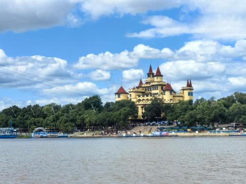 a castle on a hill next to the water at Central Street River View Apartment in Harbin