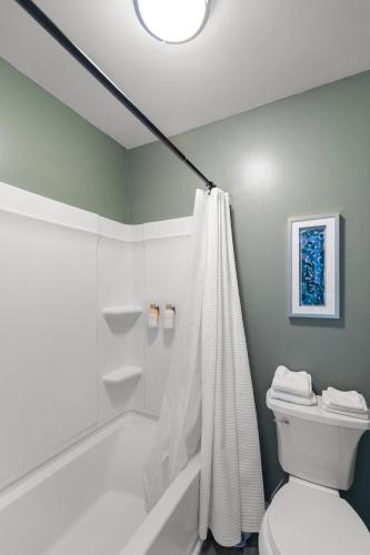 a bathroom with a shower and a toilet and a tub at Newly Renovated, Dog Friendly, Stocked Kitchen in Dothan