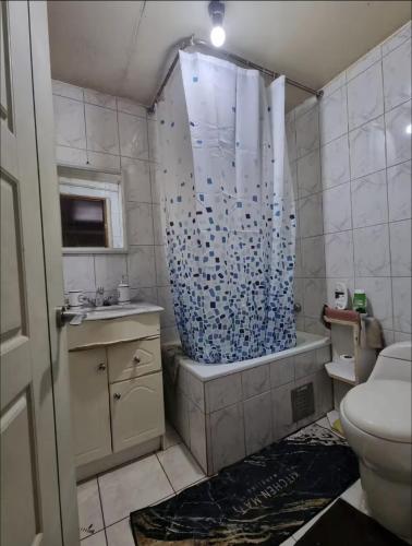 コイハイケにあるCabaña espaciosa Aires del Surのトイレとシャワーカーテン付きのバスルーム