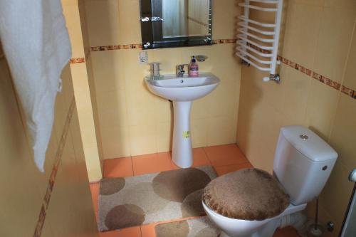 uma casa de banho com um lavatório e um WC em Cottage u Yaremy Mykulychyn em Mykulychyn