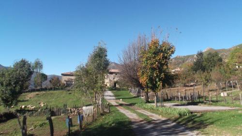 a road in a field with trees and a fence at Le Mas De La Siffleuse in Jaujac