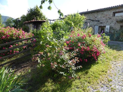 a garden with pink flowers in front of a house at Le Mas De La Siffleuse in Jaujac