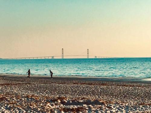 two people standing on the beach with a bridge in the background at 6 person holiday home in Slagelse in Slagelse