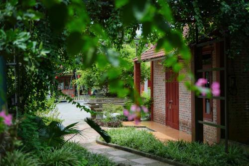 Κήπος έξω από το Hoalu Backpacker Homestay