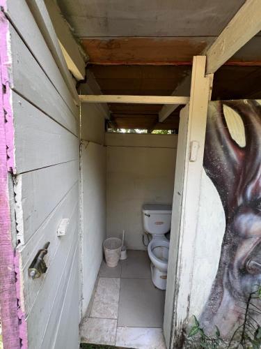 a bathroom with a toilet and a painting on the wall at K'erenda Homet Reserva Natural in Puerto Maldonado