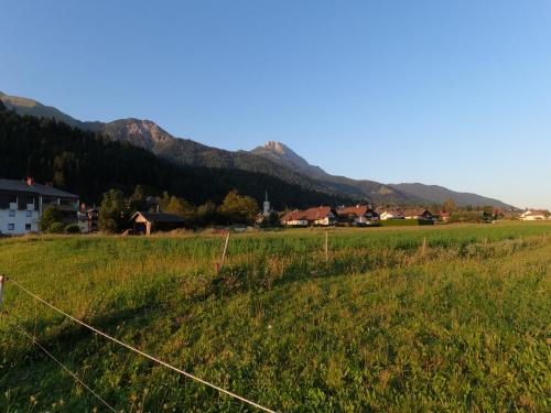 a field with a fence and mountains in the background at Freddys Gästehaus mit 3 Schlafzimmer in Dellach
