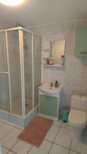 a bathroom with a shower and a sink and a toilet at le petit cosy terrasse et spa in Petersbach