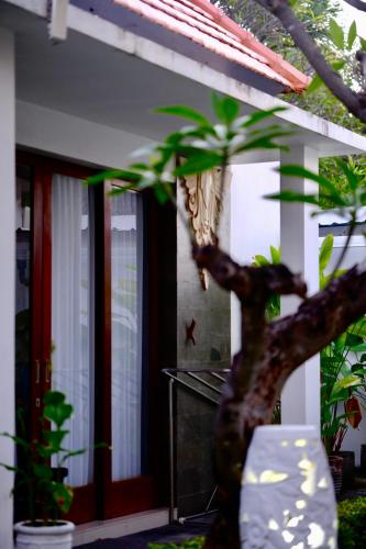 Un jardín fuera de Alba Tulamben