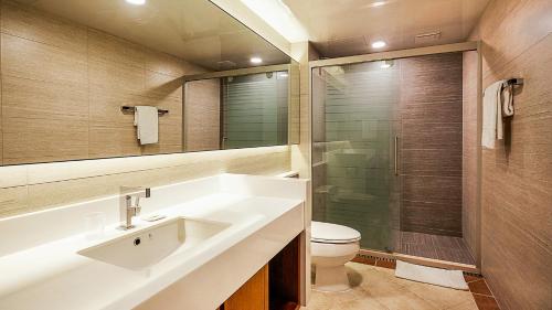 a bathroom with a sink and a toilet and a shower at Oak Valley Resort Valley Village in Wonju