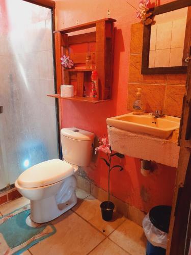 a bathroom with a toilet and a sink at Casa Rústica Rancho de Lía- Vacacional in Orotina