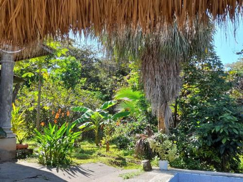 a patio with a straw umbrella and a garden at Casa Rústica Rancho de Lía- Vacacional in Orotina