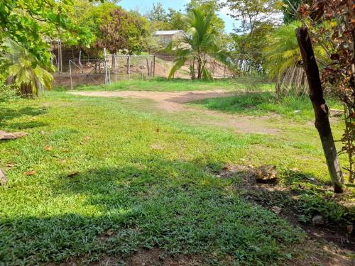 a dirt road in a field with palm trees at Casa Rústica Rancho de Lía- Vacacional in Orotina