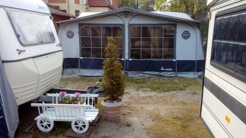 a small tree in a pot next to a trailer at Domki letniskowe Przyczepy kempingowe Zacisze Mielno in Mielno