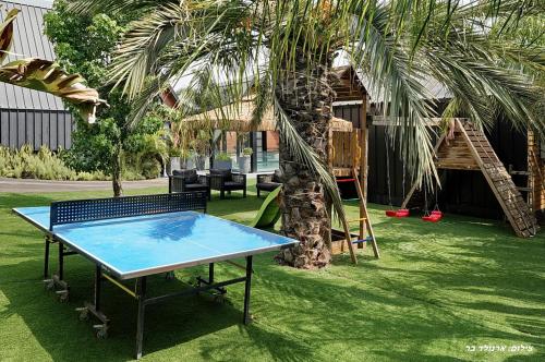 a ping pong table in a yard with a palm tree at Campanga nera - ארבע בקתות מהממות עם בריכה מחוממת וג'קוזי in Yarka