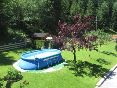 ein leerer Pool in einem Garten mit einem Baum in der Unterkunft Ferienhaus Schwarzenbacher in Lungötz