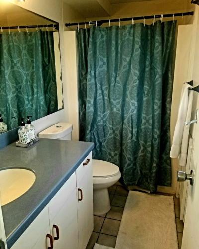 a bathroom with a toilet and a green shower curtain at Hilo Haven at Bayshore Towers in Hilo