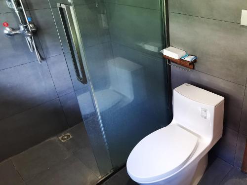 a bathroom with a toilet and a glass shower at Dai House in Xishuangbanna Village in Menghan