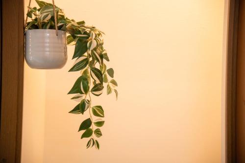 a plant in a pot hanging from a wall at Scent of Asia in Yokohama